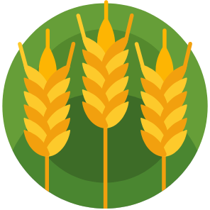 logo_liozno
